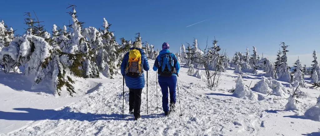 Geführte Skitouren im Bayerischen Wald - Skitouren gehen zur Chamer Hütte
